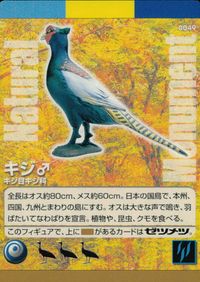 Natural Monuments わがままな天然列島 日本の天然記念物 Natural monuments わがままな天然列島 カード カード キジ トレカ 0049 海洋堂 小学館 サムネイル 1