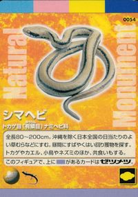 天然記念物 Natural Monuments わがままな天然列島 日本の天然記念物 Natural monuments わがままな天然列島 カード カード シマヘビ トレカ 0054 海洋堂 小学館 トレーディングカードゲーム サムネイル 1