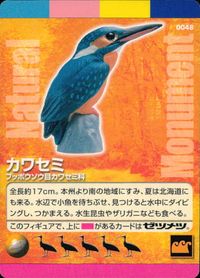 Natural Monuments わがままな天然列島 日本の天然記念物 Natural monuments わがままな天然列島 カード カード カワセミ トレカ 0048 海洋堂 小学館 サムネイル 1