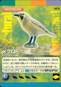 ナチュラルモニュメンツ Natural Monuments わがままな天然列島 日本の天然記念物 Natural monuments わがままな天然列島 カード カード メグロ トレカ 0033 海洋堂 小学館 TCG サムネイル 1