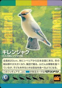 ナチュラルモニュメンツ Natural Monuments わがままな天然列島 日本の天然記念物 Natural monuments わがままな天然列島 カード カード キレンジャク トレカ 0023 海洋堂 小学館 サムネイル 1