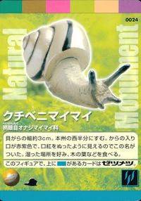 Natural Monuments わがままな天然列島 日本の天然記念物 Natural monuments わがままな天然列島 カード カード クチベニマイマイ トレカ 0024 海洋堂 小学館 サムネイル 1