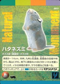 ナチュラルモニュメンツ Natural Monuments わがままな天然列島 日本の天然記念物 Natural monuments わがままな天然列島 カード カード ハタネズミ トレカ 0031 海洋堂 小学館 サムネイル 1
