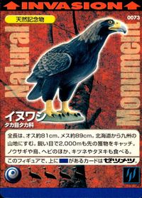 Natural Monuments わがままな天然列島 日本の天然記念物 Natural monuments わがままな天然列島 カード カード イヌワシ トレカ 0073 海洋堂 小学館 サムネイル 1