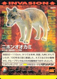 Natural Monuments わがままな天然列島 日本の天然記念物 Natural monuments わがままな天然列島 カード カード ニホンオオカミ トレカ 0079 海洋堂 小学館 サムネイル 1