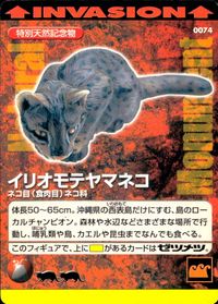 Natural Monuments わがままな天然列島 日本の天然記念物 Natural monuments わがままな天然列島 カード カード イリオモテヤマネコ トレカ 0074 海洋堂 小学館 トレーディングカードゲーム サムネイル 1