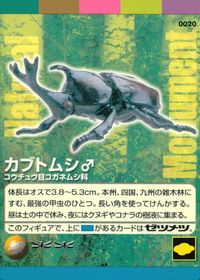 ナチュラルモニュメンツ Natural Monuments わがままな天然列島 日本の天然記念物 Natural monuments わがままな天然列島 カード カード カブトムシ トレカ 0020 海洋堂 小学館 サムネイル 1