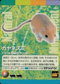 Natural Monuments わがままな天然列島 日本の天然記念物 Natural monuments わがままな天然列島 カード カード カヤネズミ トレカ 0021 海洋堂 小学館 サムネイル 1