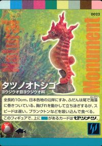 ナチュラルモニュメンツ Natural Monuments わがままな天然列島 日本の天然記念物 Natural monuments わがままな天然列島 カード カード タツノオトシゴ トレカ 0022 海洋堂 小学館 サムネイル 1