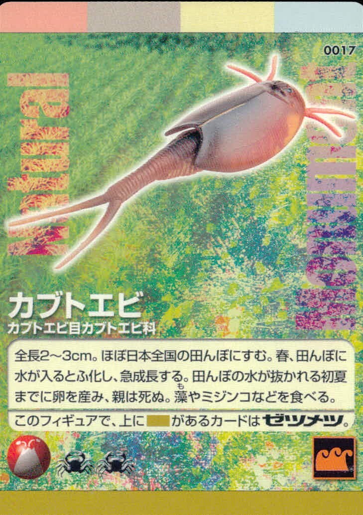 Natural Monuments わがままな天然列島 日本の天然記念物 Natural monuments わがままな天然列島 カード カード カブトエビ トレカ 0017 海洋堂 小学館 日本の天然記念物公式TCG