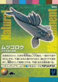 ナチュラルモニュメンツ Natural Monuments わがままな天然列島 日本の天然記念物 Natural monuments わがままな天然列島 カード カード ムツゴロウ トレカ 0034 海洋堂 小学館 サムネイル 1