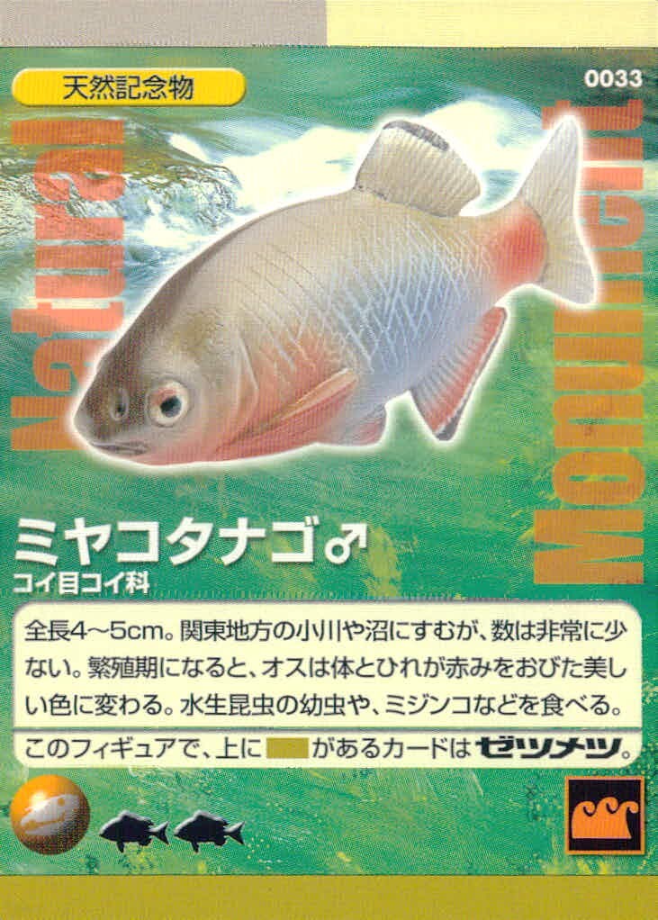 ナチュラルモニュメンツ Natural Monuments わがままな天然列島 日本の天然記念物 Natural monuments わがままな天然列島 カード カード ミヤコタナゴ トレカ 0033 海洋堂 小学館 TCG