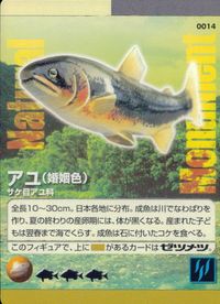 ナチュモニ Natural Monuments わがままな天然列島 日本の天然記念物 Natural monuments わがままな天然列島 カード カード アユ トレカ 0014 海洋堂 小学館 サムネイル 1
