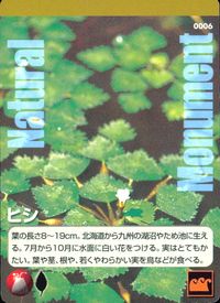 ナチュモニ Natural Monuments わがままな天然列島 日本の天然記念物 Natural monuments わがままな天然列島 カード カード ヒシ トレカ 0006 海洋堂 小学館 サムネイル 1