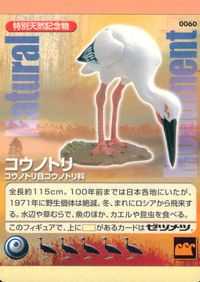 天然記念物 Natural Monuments わがままな天然列島 日本の天然記念物 Natural monuments わがままな天然列島 カード カード コウノトリ トレカ 0060 海洋堂 小学館 TCG サムネイル 1