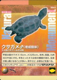 ナチュラルモニュメンツ Natural Monuments わがままな天然列島 日本の天然記念物 Natural monuments わがままな天然列島 カード カード クサガメ オス トレカ 0055 海洋堂 小学館 サムネイル 1