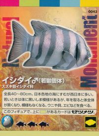 ナチュラルモニュメンツ Natural Monuments わがままな天然列島 日本の天然記念物 Natural monuments わがままな天然列島 カード カード イシダイ♂ トレカ 0043 海洋堂 小学館 サムネイル 1