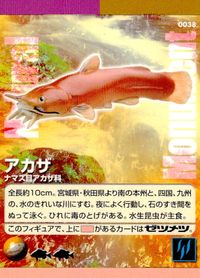 ナチュラルモニュメンツ Natural Monuments わがままな天然列島 日本の天然記念物 Natural monuments わがままな天然列島 カード カード アカザ トレカ 0038 海洋堂 小学館 サムネイル 1