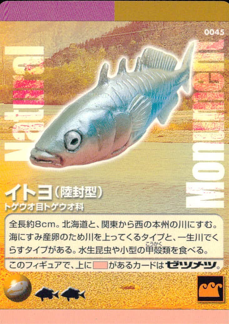 Natural Monuments わがままな天然列島 日本の天然記念物 Natural monuments わがままな天然列島 カード カード イトヨ トレカ 0045 海洋堂 小学館