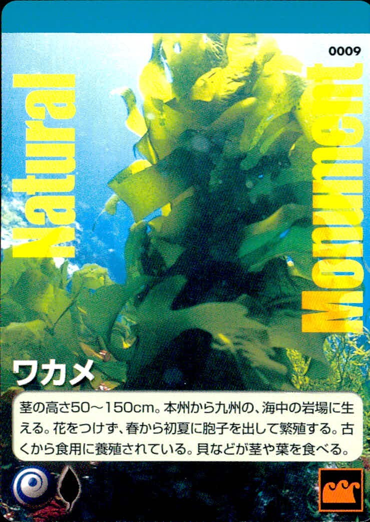 Natural Monuments わがままな天然列島 日本の天然記念物 Natural monuments わがままな天然列島 カード カード ワカメ トレカ 0009 海洋堂 小学館 TCG