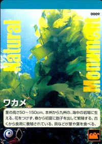 Natural Monuments わがままな天然列島 日本の天然記念物 Natural monuments わがままな天然列島 カード カード ワカメ トレカ 0009 海洋堂 小学館 TCG サムネイル 1