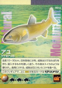 ナチュラルモニュメンツ Natural Monuments わがままな天然列島 日本の天然記念物 Natural monuments わがままな天然列島 カード カード アユ トレカ 0013 海洋堂 小学館 サムネイル 1