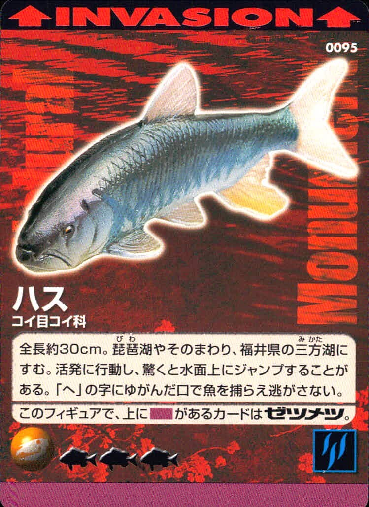 Natural Monuments わがままな天然列島 日本の天然記念物 Natural monuments わがままな天然列島 カード カード ハス トレカ 0095 海洋堂 小学館