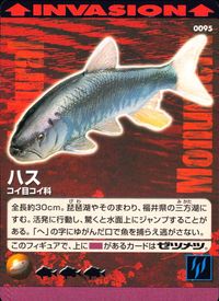 Natural Monuments わがままな天然列島 日本の天然記念物 Natural monuments わがままな天然列島 カード カード ハス トレカ 0095 海洋堂 小学館 サムネイル 1
