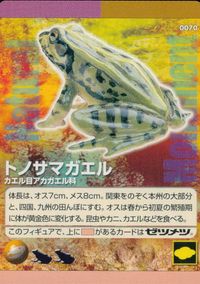 Natural Monuments わがままな天然列島 日本の天然記念物 Natural monuments わがままな天然列島 カード カード トノサマガエル トレカ 0070 海洋堂 小学館 サムネイル 1