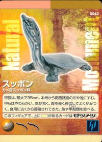 ナチュラルモニュメンツ Natural Monuments わがままな天然列島 日本の天然記念物 Natural monuments わがままな天然列島 カード カード スッポン トレカ 0062 海洋堂 小学館 サムネイル 1