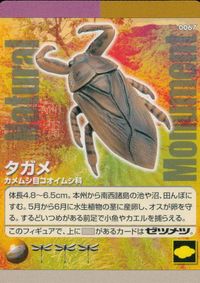 ナチュラルモニュメンツ Natural Monuments わがままな天然列島 日本の天然記念物 Natural monuments わがままな天然列島 カード カード タガメ トレカ 0067 海洋堂 小学館 サムネイル 1