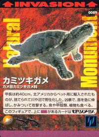 ナチュラルモニュメンツ Natural Monuments わがままな天然列島 日本の天然記念物 Natural monuments わがままな天然列島 カード カード カミツキガメ トレカ 0089 海洋堂 小学館 サムネイル 1
