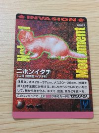 ナチュラルモニュメンツ Natural Monuments わがままな天然列島 日本の天然記念物 Natural monuments わがままな天然列島 キラ R レア カード カード ニホンイタチ トレカ R0013 R サムネイル 1