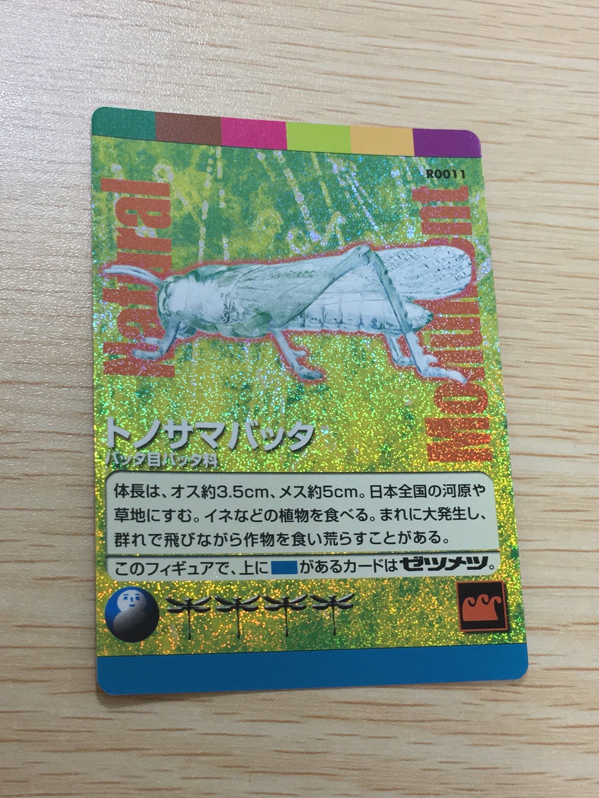 Natural Monuments わがままな天然列島 日本の天然記念物 Natural monuments わがままな天然列島 キラ R レア カード カード トノサマバッタ トレカ R0011 R 海洋堂 小学館