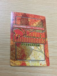 Natural Monuments わがままな天然列島 日本の天然記念物 Natural monuments わがままな天然列島 キラ R レア カード カード トノサマバッタ トレカ R0011 R 海洋堂 小学館 サムネイル 6