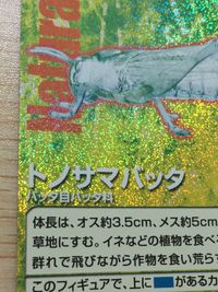 Natural Monuments わがままな天然列島 日本の天然記念物 Natural monuments わがままな天然列島 キラ R レア カード カード トノサマバッタ トレカ R0011 R 海洋堂 小学館 サムネイル 3