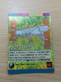Natural Monuments わがままな天然列島 日本の天然記念物 Natural monuments わがままな天然列島 キラ R レア カード カード トノサマバッタ トレカ R0011 R 海洋堂 小学館 サムネイル 2