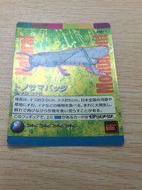 Natural Monuments わがままな天然列島 日本の天然記念物 Natural monuments わがままな天然列島 キラ R レア カード カード トノサマバッタ トレカ R0011 R 海洋堂 小学館 サムネイル 5