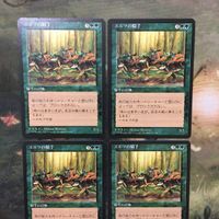 MTG マジックザギャザリング カード まとめ 4ED エルフの騎手/Elven Riders 4枚セット 87 サムネイル 3