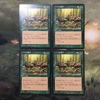 MTG マジックザギャザリング カード まとめ 4ED エルフの騎手/Elven Riders 4枚セット 87