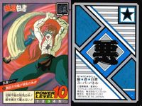 カード 幽遊白書 カードダス スーパーバトル まとめ 青龍 37 飛影 36 乱童 35 バンダイ バンプレスト 1993 サムネイル 4