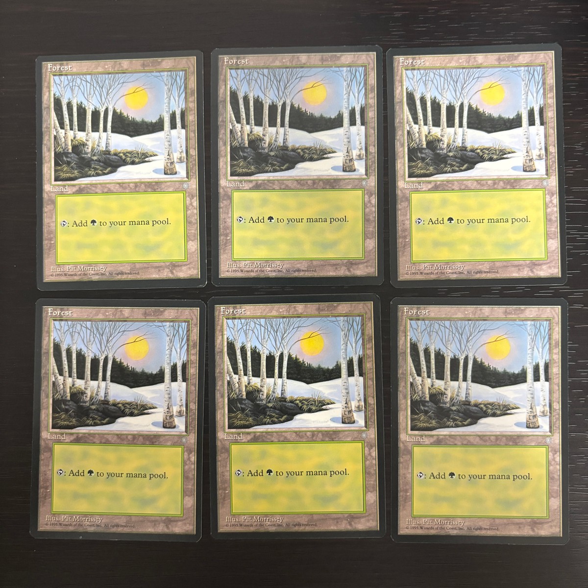 MTG Magic: The Gathering アイスエイジ 基本土地 カード Forest トレカ Land Wizards of the Coast TCG