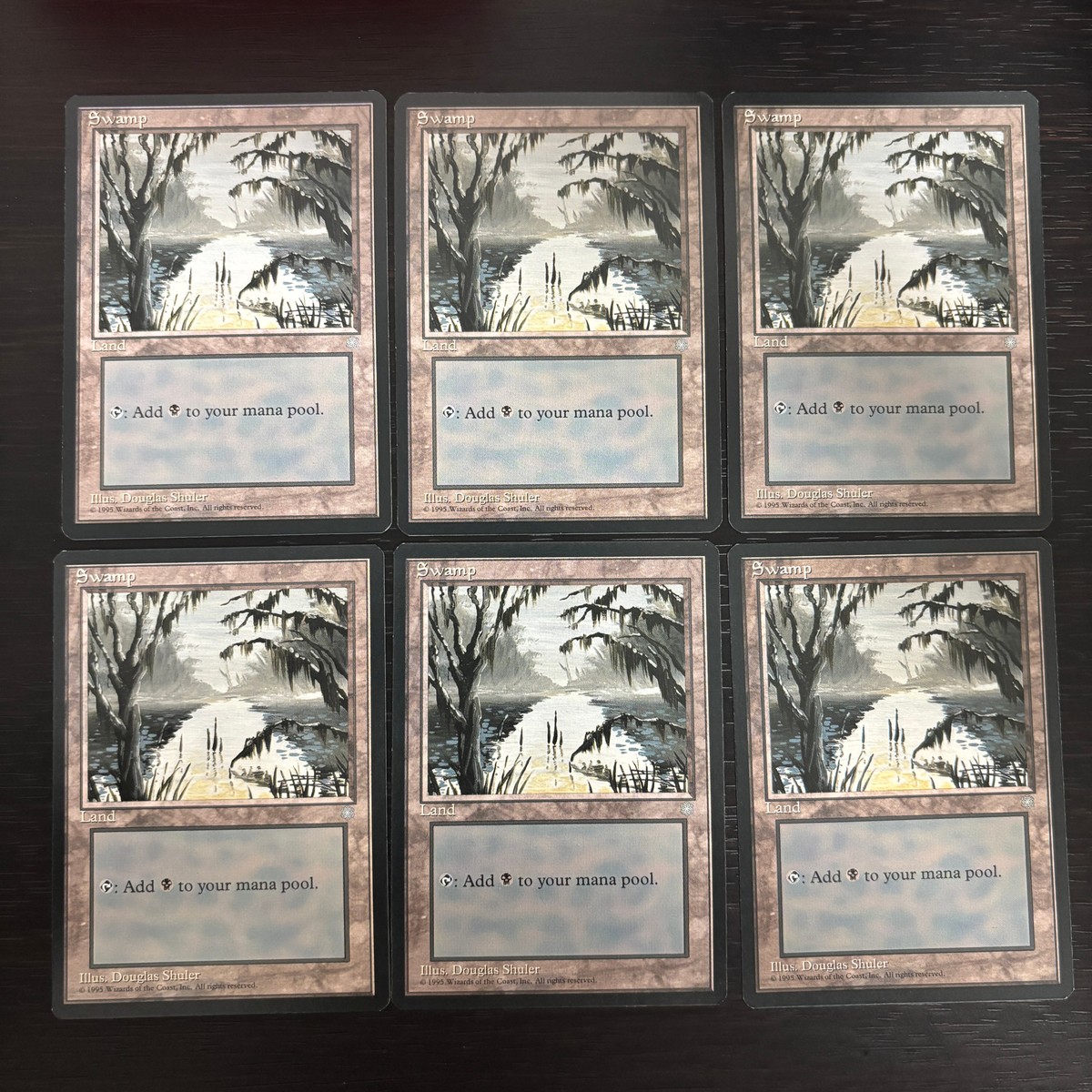 MTG Magic: The Gathering アイスエイジ 基本土地 カード Swamp トレカ Land Wizards of the Coast