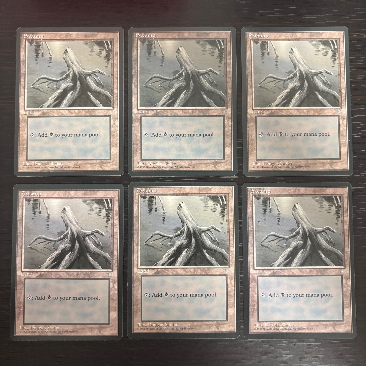 MTG Magic: The Gathering アイスエイジ 基本土地 カード Swamp トレカ Land Wizards of the Coast
