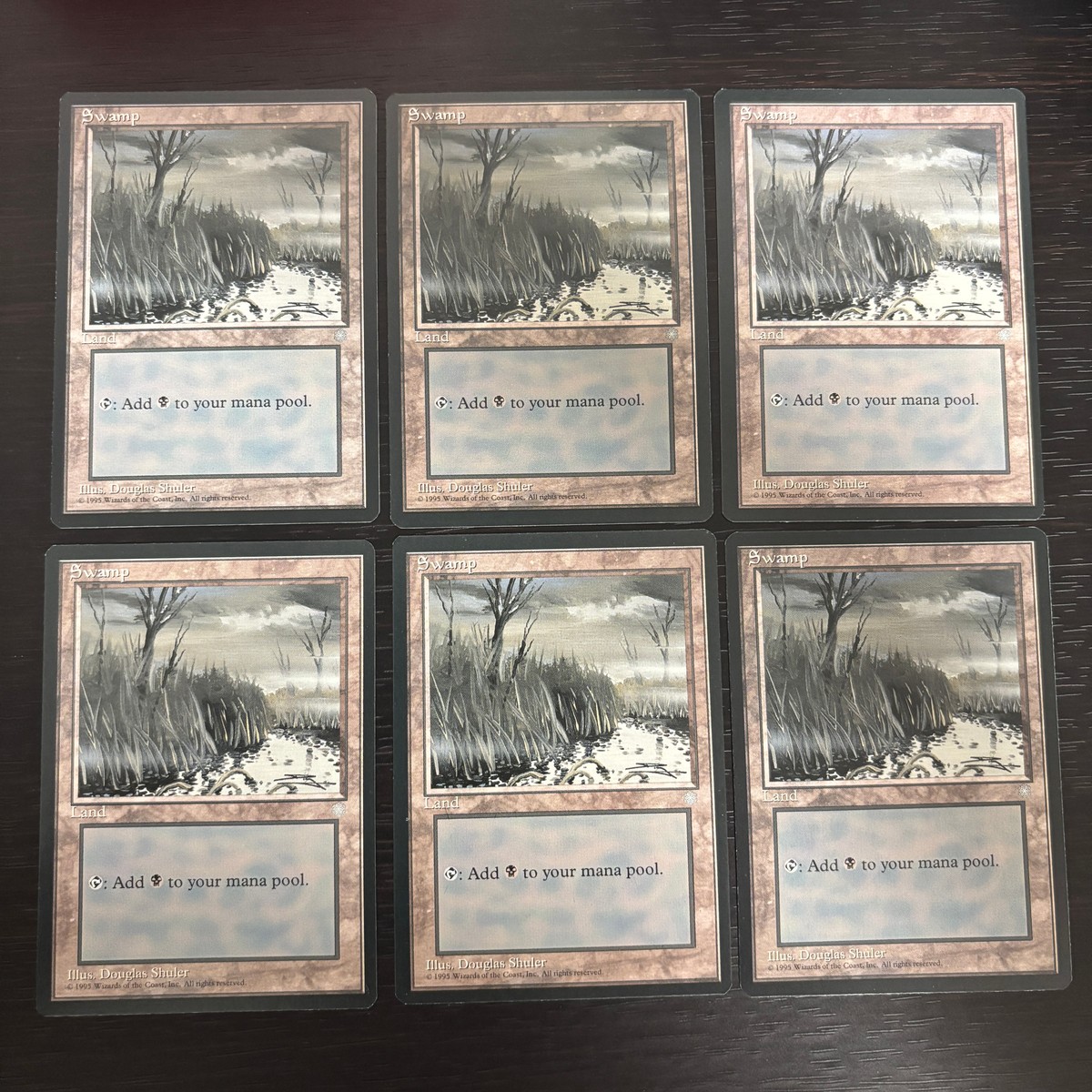 MTG Magic: The Gathering アイスエイジ 基本土地 カード Swamp トレカ Land Wizards of the Coast