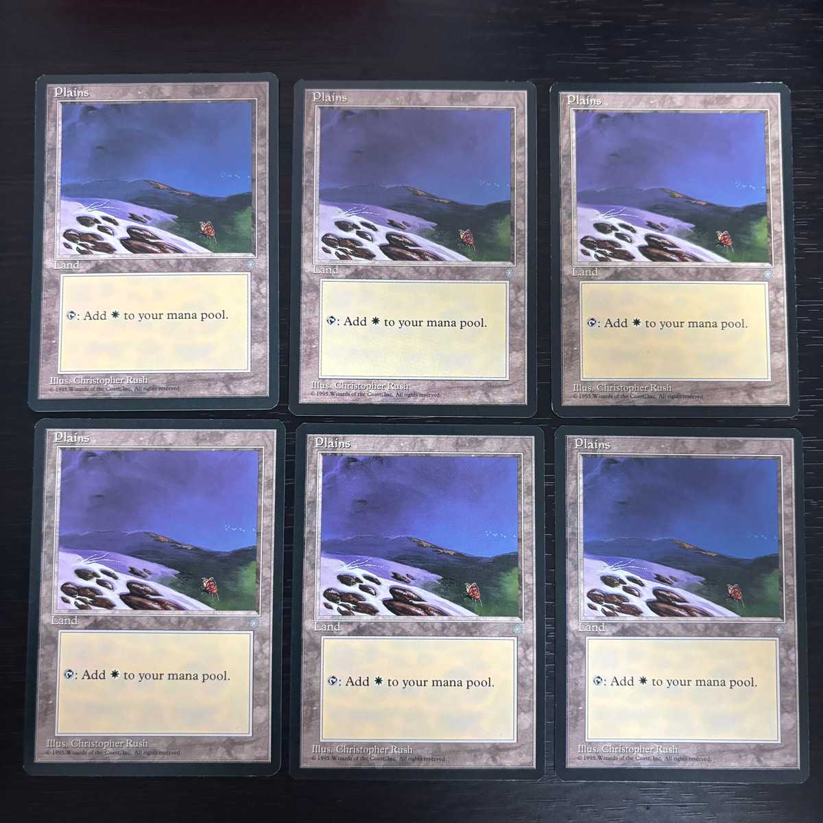 MTG Magic: The Gathering アイスエイジ 基本土地 カード Plains トレカ Land Wizards of the Coast