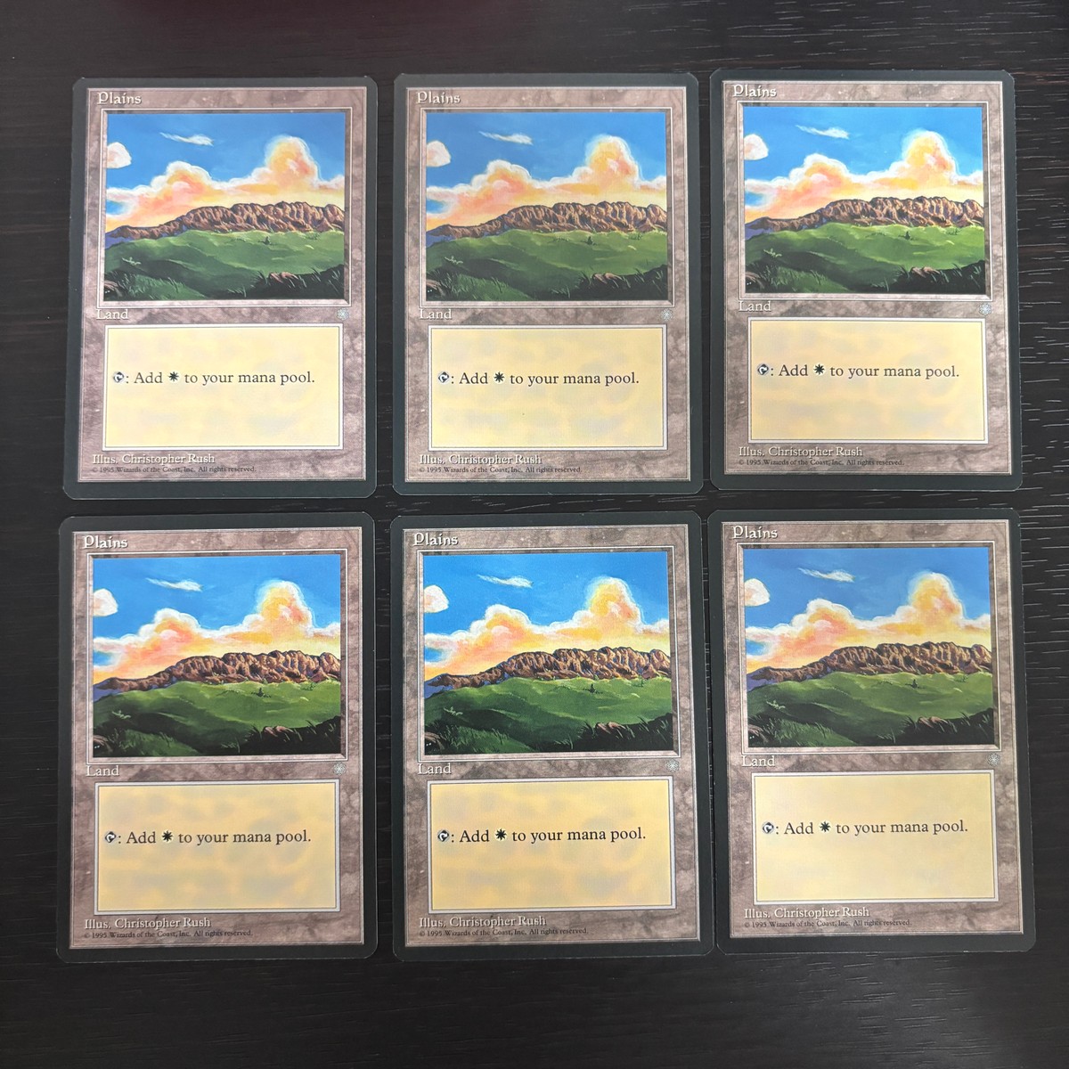 MTG Magic: The Gathering アイスエイジ 基本土地 カード Plains トレカ Land Wizards of the Coast