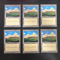 MTG Magic: The Gathering アイスエイジ 基本土地 カード Plains トレカ Land Wizards of the Coast サムネイル 1
