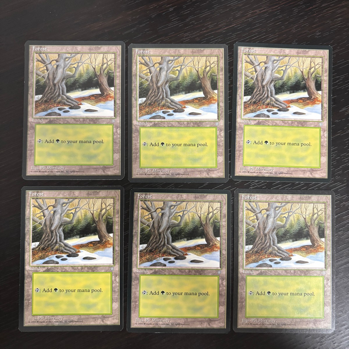 MTG Magic: The Gathering アイスエイジ 基本土地 カード Forest トレカ L Wizards of the Coast