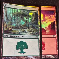 MTG Magic: The Gathering Foil 旧枠 基本土地 人気絵柄 神河 カード 森 トレカ 304/306 L Wizards of the Coast TCG サムネイル 2